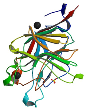 Enzymaktivitätsmessung von Beta-Porphyranase