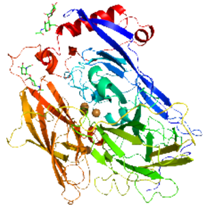 Bilirubin oxidases
