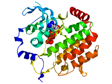 Proteinstruktur von BUB1.