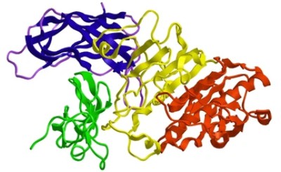 Butter-fett Enzyme 2