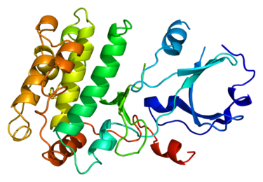 Proteinstruktur von CAMK1.