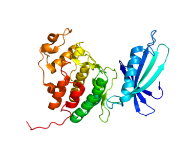 Proteinstruktur von CDK4.