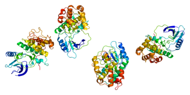 Proteinstruktur von CDK7.