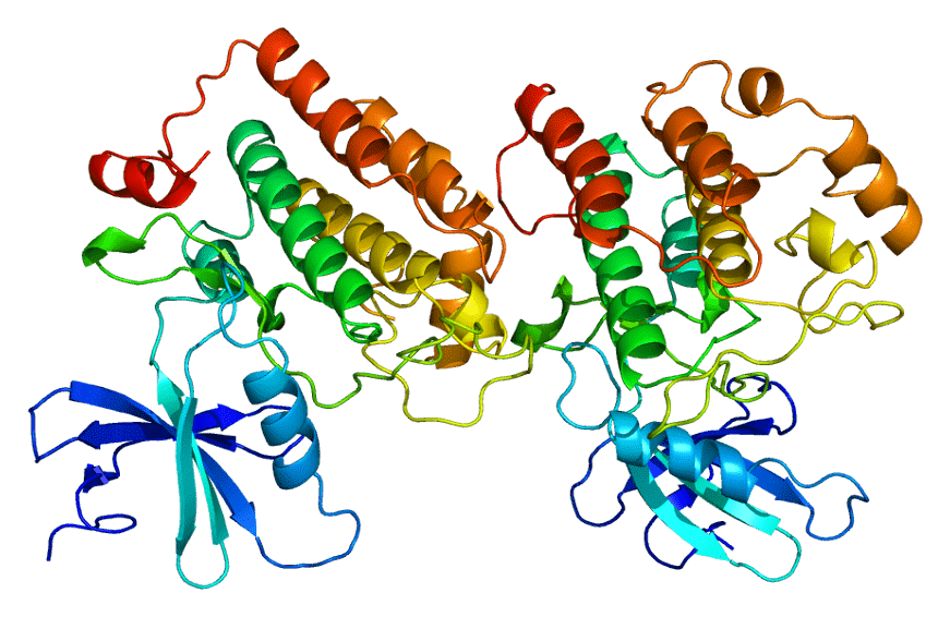 Proteinstruktur von CK1