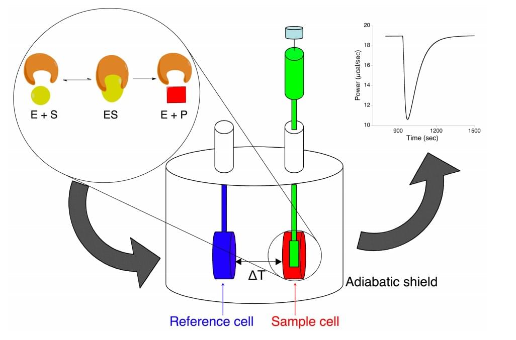 Schematische Darstellung des isothermen Titrationskalorimeters zur Untersuchung enzymatischer Reaktionen.