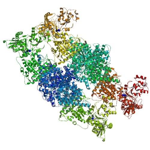 Enzymaktivitätsmessung der Kohlenmonoxid-Dehydrogenase (Ferredoxin) unter Verwendung spektrophotometrischer Assays