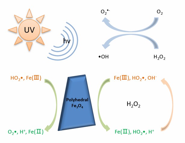 Abbau von Tetracyclin basierend auf polyedrischen Fe3O4-Nanozymen.