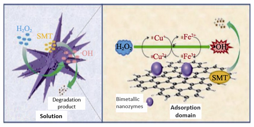 Reaktionsmechanismus des SMT-Abbaus im Fe / Cu-peroxidaseähnlichen System basierend auf der Fenton-Reaktion.