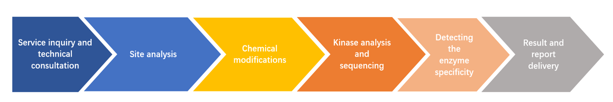 Enzym chemische Modifikationsablauf