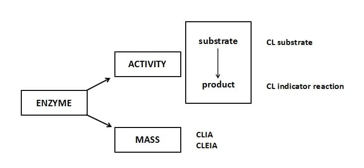 Die Chemilumineszenten Assay-Strategien für Enzyme.