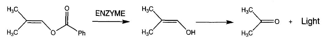 Enzymassay unter Verwendung eines 2-Methyl-1-propenylbenzoat-Substrats.