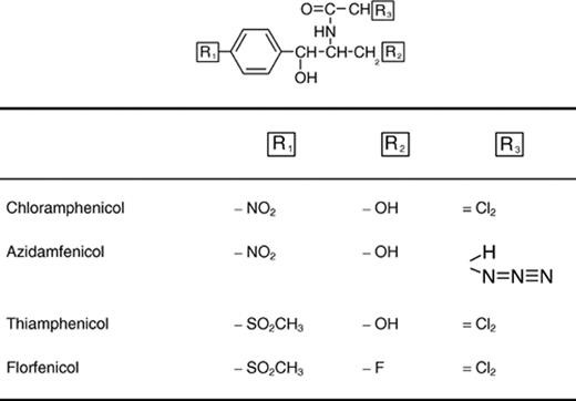 Struktur von Chloramphenicol und verwandten Substanzen