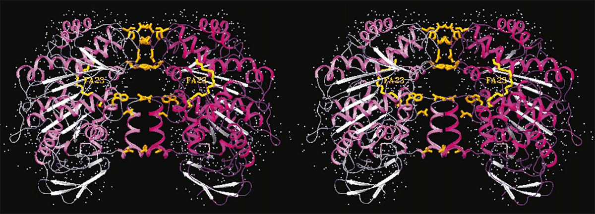 Cholesterinesterase