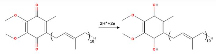 Struktur von Cytochrom c Reduktase.