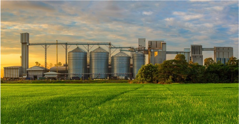 Industrielle Biokatalyse könnte auf Hunderte von metrischen Tonnen hochskaliert werden