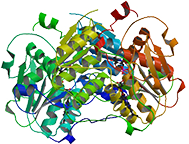 Cystathionin-β-synthase, rekombinant