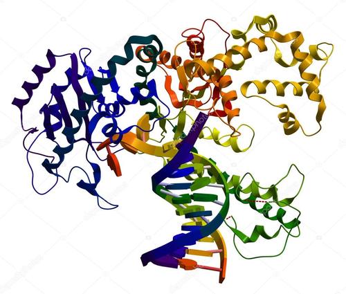 Struktur der Deoxyribonuklease II.