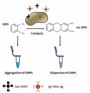 Der Nachweis von Listeria monocytogenes durch Nanozyme. - Creative Enzymes