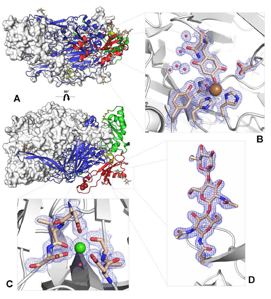 Diaminoxidase