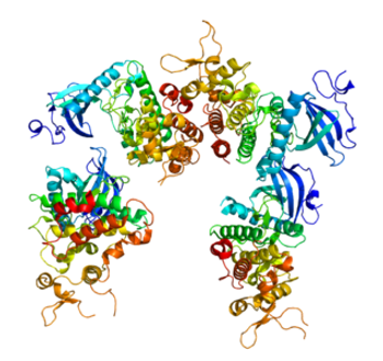 Proteinstruktur von DYRK1A.