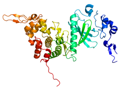  Proteinstruktur von DYRK2.