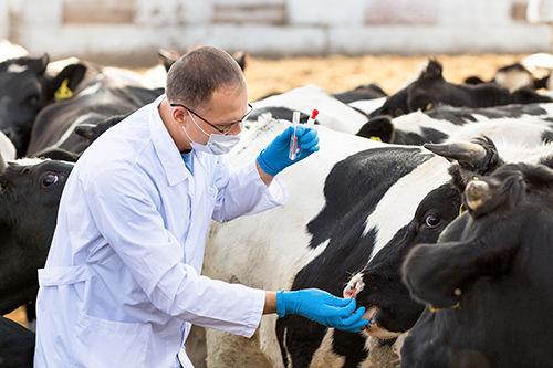 Geruchsbeseitigung für Landwirtschaft und Haustiere