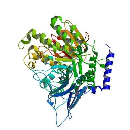 Enzymaktivitätsmessung für das 1,4-alpha-Glucan-verzweigende Enzym unter Verwendung spektrophotometrischer Assays