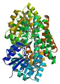 Enzymaktivitätsmessung für 2-Hydroxy-3-Oxopropionat-Reduktase unter Verwendung von spektrophotometrischen Assays