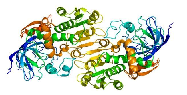 Enzymaktivitätsmessung für Alkoholdehydrogenasen mittels spektrophotometrischer Assays