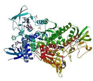  Die Kristallstruktur der menschlichen Dihydrolipoyl-Dehydrogenase, die mit NAD+ komplexiert ist.