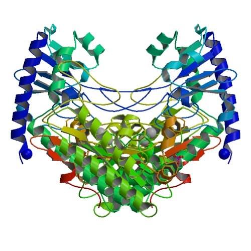 Abbildung: Die Kristallstruktur der Diisopropylfluorophosphatase von Alteromonas macleodii.