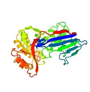 Abbildung: Die Kristallstruktur der menschlichen Fucokinase.