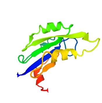 Abbildung 2: Die Kristallstruktur der Maus-Gangliosid-Galaktosyltransferase.
