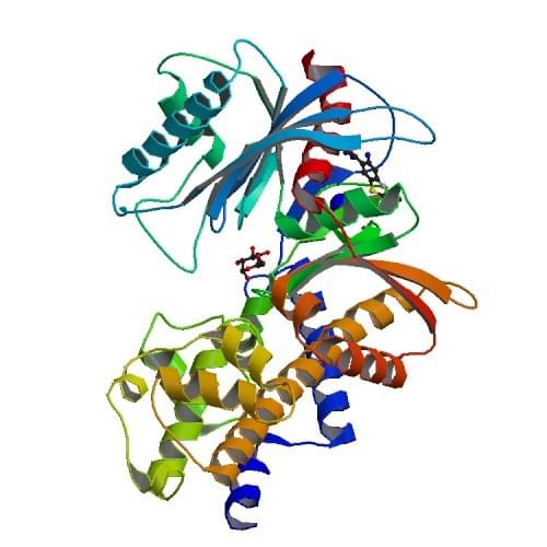 Abbildung: Die Kristallstruktur der menschlichen Glukokinase.