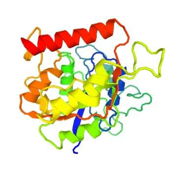 Abbildung: Die Kristallstruktur der menschlichen Hyaluronan-Synthase 2.