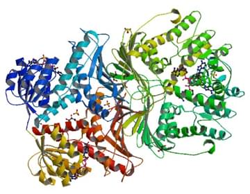 Enzymaktivitätsmessung für Inositol-2-Dehydrogenase unter Verwendung spektrophotometrischer Assays
