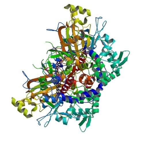 Die Kristallstruktur der L-Glutamat-Oxidase von Streptomyces sp. X-119-6.