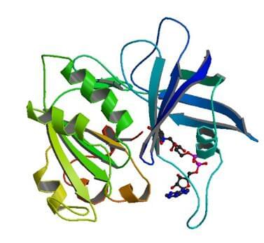 Die Kristallstruktur der Nitrate Reduktase (NADH) aus Zea mays.
