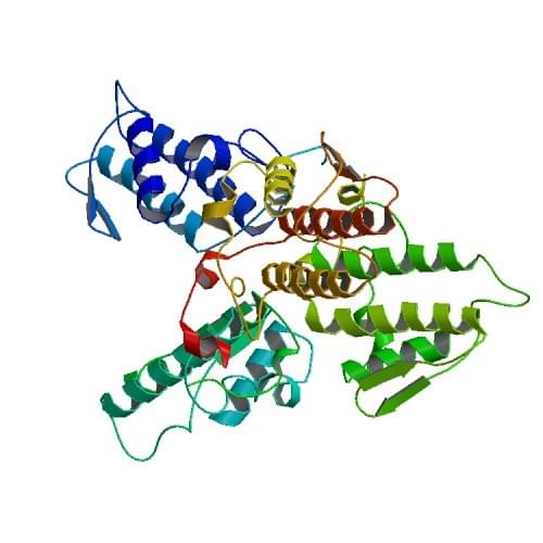 Die Kristallstruktur der Phospholipase A2 (MIPLA2) von Micropechis Ikaheka