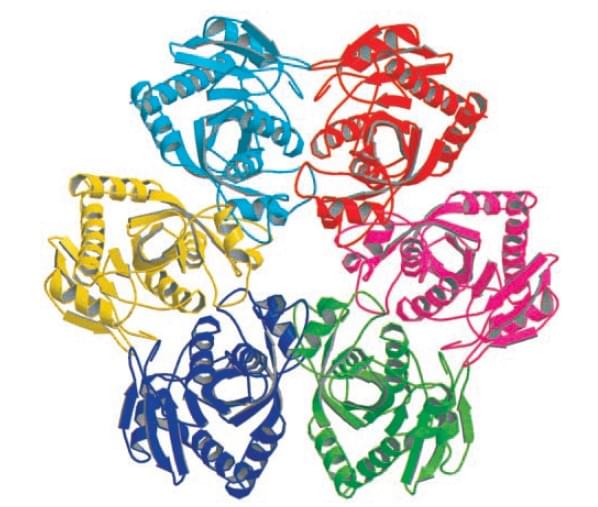 Abbildung: Die Kristallstruktur der E. coli Purin-Nukleosid-Phosphorylase Hexamer.