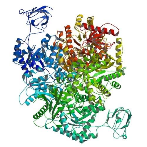 Abbildung: Die Kristallstruktur der menschlichen M2-Pyruvatkinase.