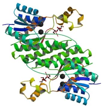 Enzymaktivitätsmessung für Testosteron 17Beta-Dehydrogenase (NAD<sup>+</sup>) unter Verwendung spektrophotometrischer Assays