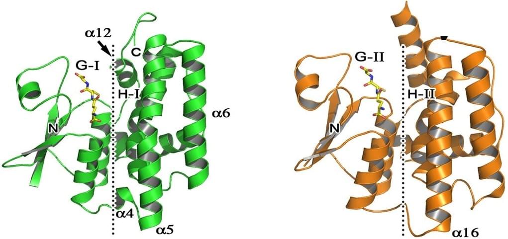 Enzymaktivitätsmessung für Phosphor-Transferasen