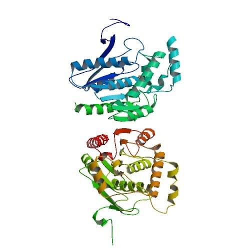 Die Kristallstruktur der menschlichen Acylglycerol-Lipase
