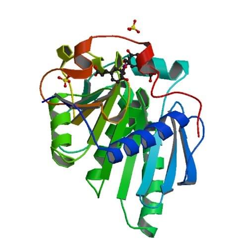 Die Kristallstruktur der Feruloylesterase von Aspergillus niger