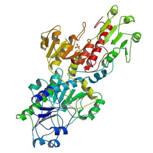 Enzymaktivitätsmessung von Glyceratdehydrogenase mittels spektrophotometrischer Assays