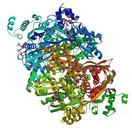 Enzymaktivitätsmessung von Hydroxymethylglutaryl-CoA-Reduktase (NADPH) unter Verwendung von spektrophotometrischen Assays