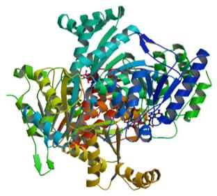 Enzymaktivitätsmessung von Isocitratdehydrogenase (NAD+) unter Verwendung spektrophotometrischer Assays