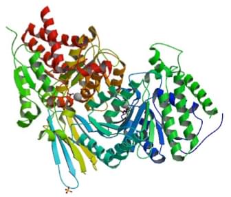 Enzymaktivitätsmessung der Isocitratdehydrogenase (NADP+) unter Verwendung spektrophotometrischer Assays