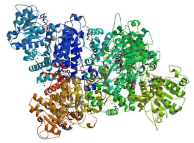 Enzymaktivitätsmessung der Malatdehydrogenase (Decarboxylierend) unter Verwendung spektrophotometrischer Assays